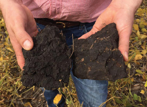 No till farming soil vs tilled soil